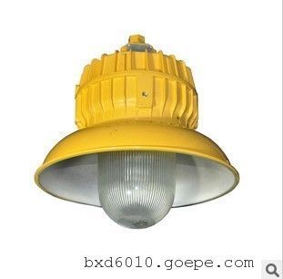 柳市GMD590 100W LED免維護(hù)防爆燈 防水防塵防腐的多功能泛光照明解決方案